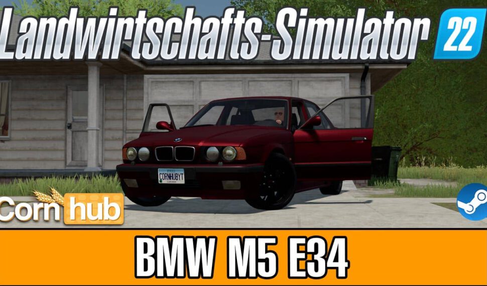 LS22 BMW M5 E34