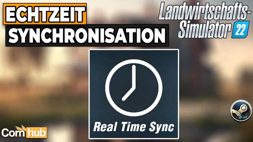 LS22 Echtzeit Synchronisation