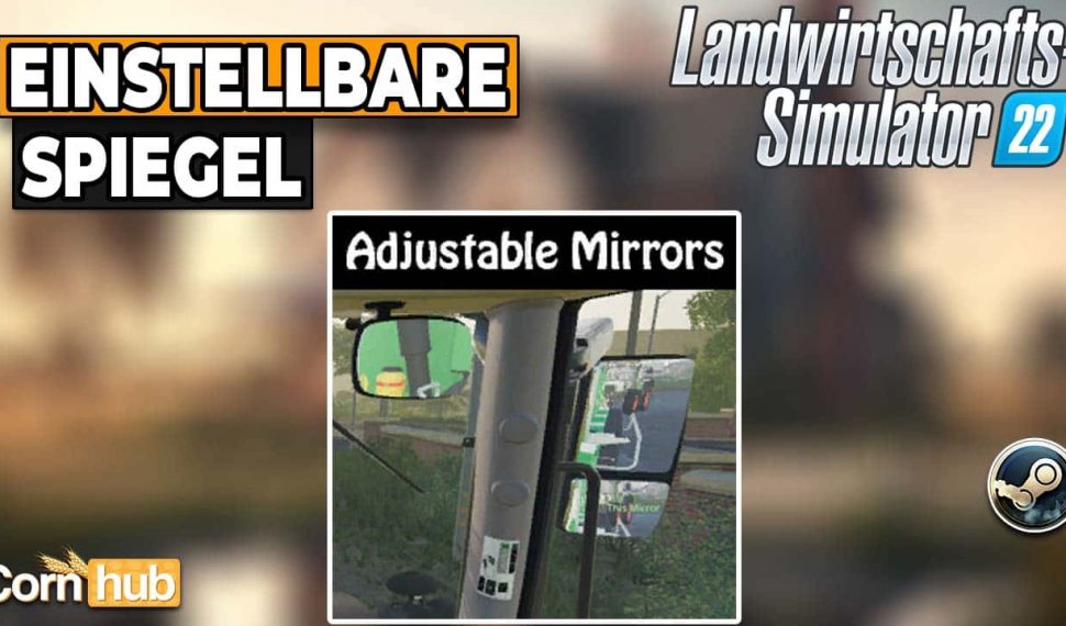 LS22 Einstellbare Spiegel